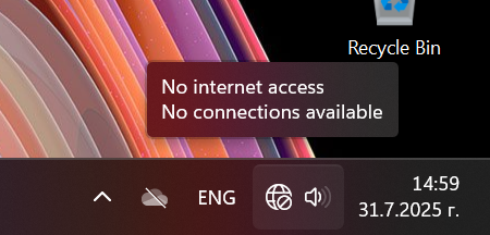 No Internet Globe Icon